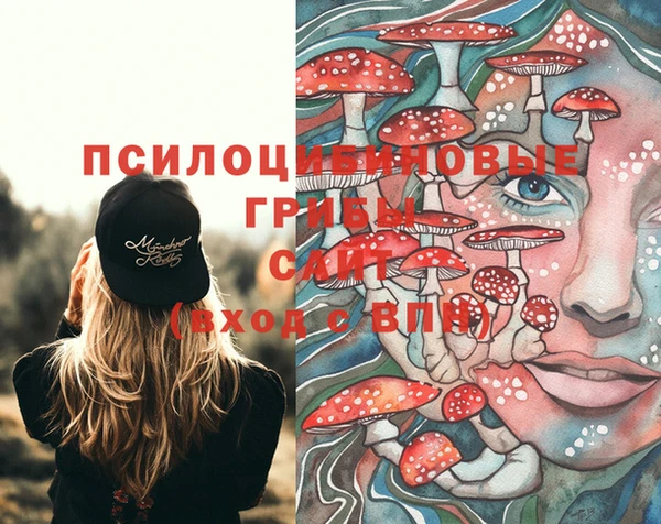 гидропоника Карталы