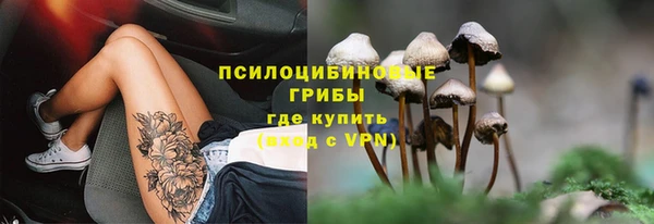 гидропоника Карталы