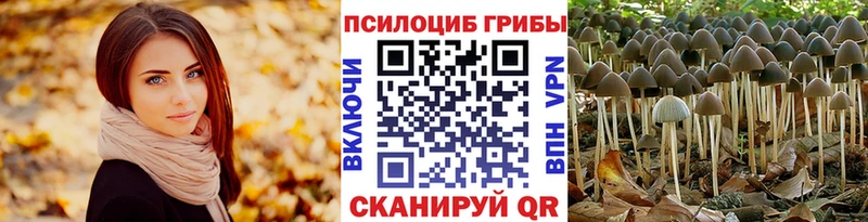 Галлюциногенные грибы мухоморы  Купить закладки  Миллерово 